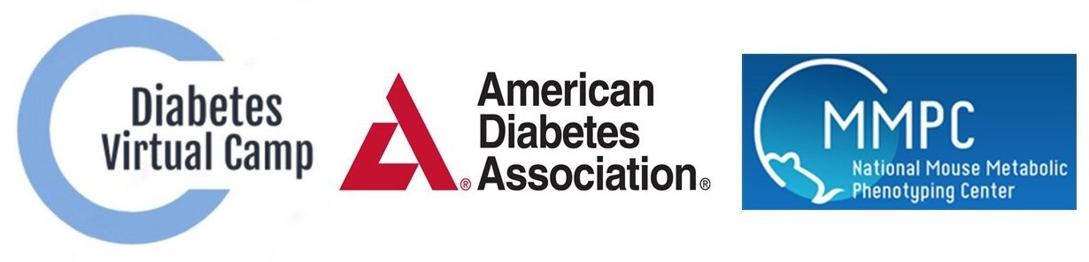 diabetes virtual camp logo